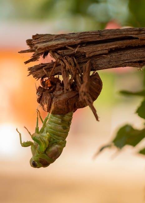 Transform ​Your Morning Routine for​ Lasting ⁤Wellness