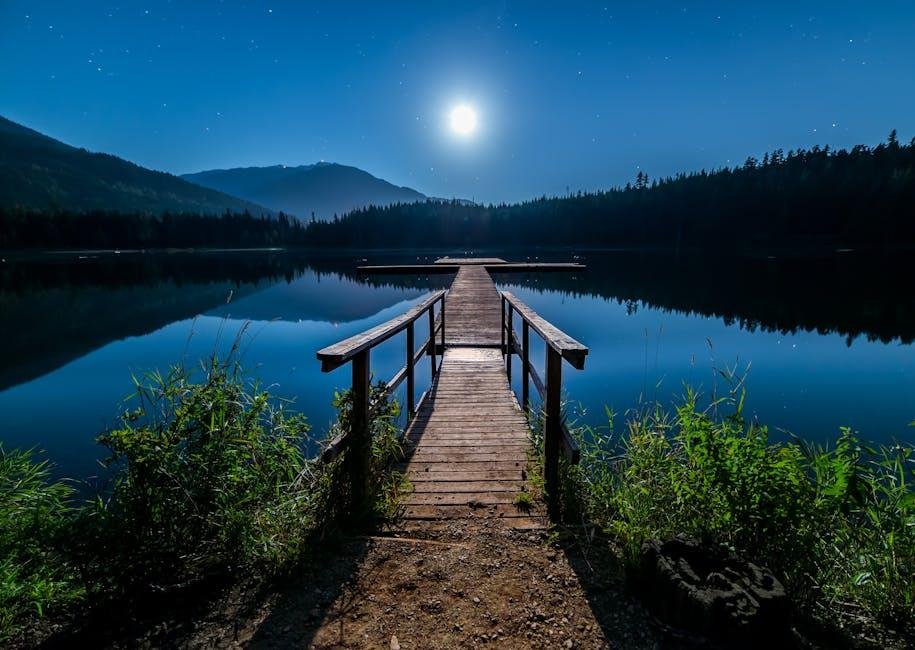 Key Ingredients for Promoting Relaxation and Sleep