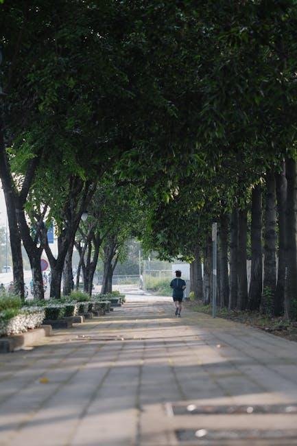 Establishing⁤ a ⁢consistent Schedule and Mindset