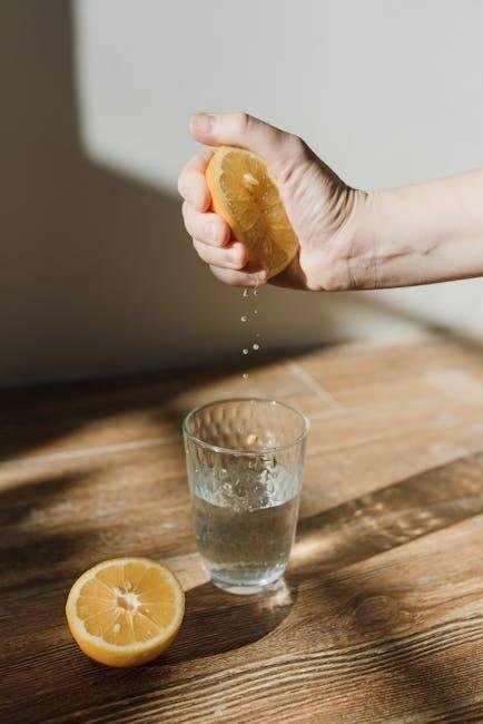 nourishing the Brain: Foods that boost Concentration