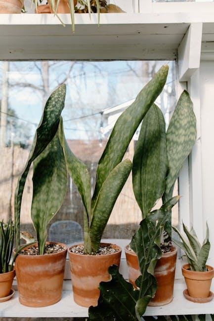Air-Purifying Plants ​to ⁢Enhance Your Home Environment