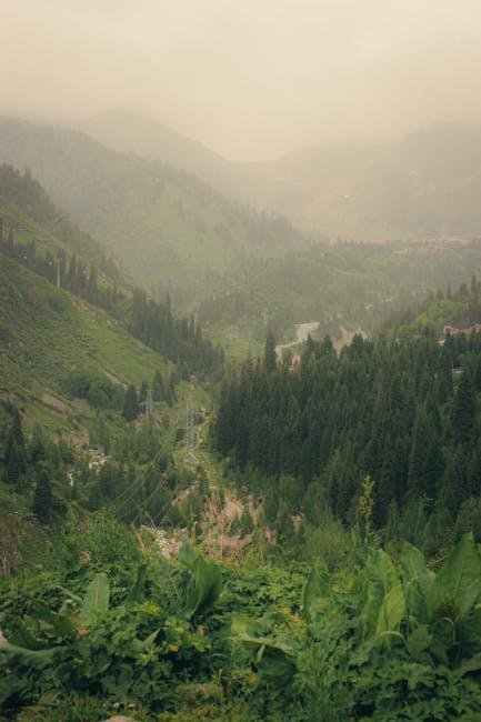 sustainable-travel-tips-how-to-travel-eco-friendly.jpeg Sustainable Travel Tips: How to Travel Eco-Friendly