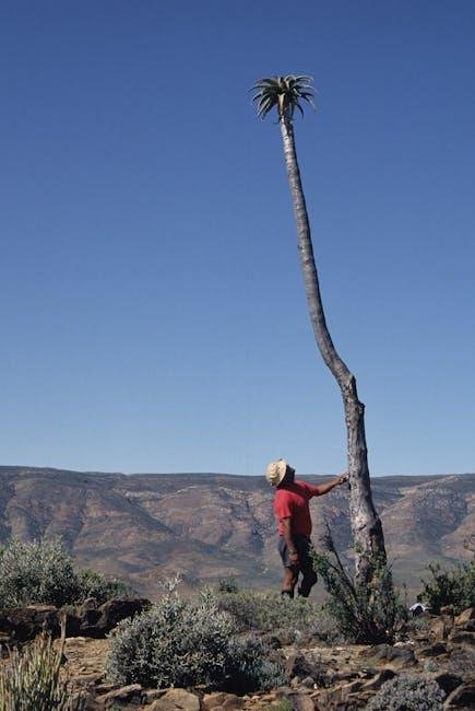 Breathtaking Natural Wonders: Scenic Retreats for Nature-Loving Duos