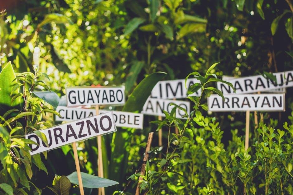 Navigating ⁤Eco⁢ Labels: Understanding Certifications and What ‌Thay Mean