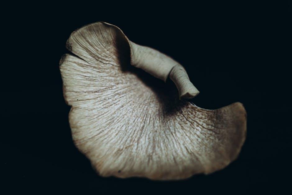 Exploring the Advantages of Plant-Based Cooking for Beginners