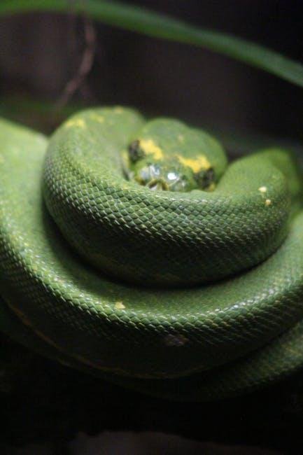 best-amazon-finds-for-home-and-lifestyle-in-2025.jpeg Best Amazon Finds for Home and Lifestyle in 2025