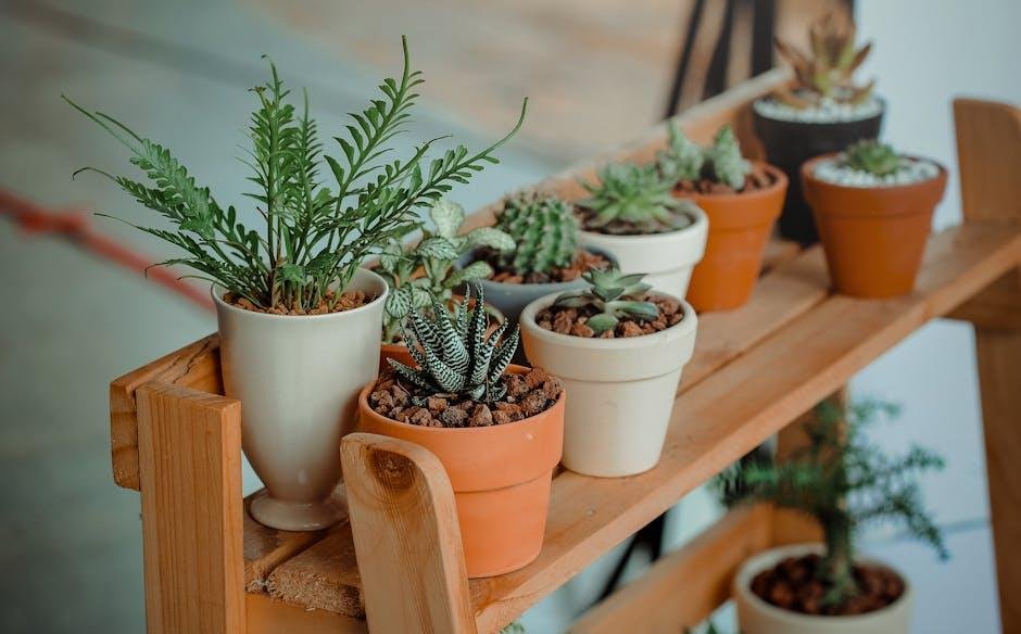 Selecting ‍the‍ perfect Indoor⁢ Plants for Every Room