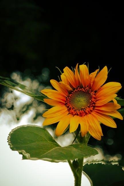 Enduring Options for an Eco-Friendly glow