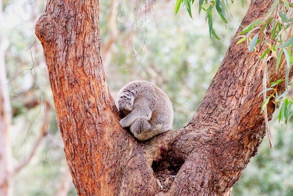 Creating a Calming Sleep Environment for Restful Nights