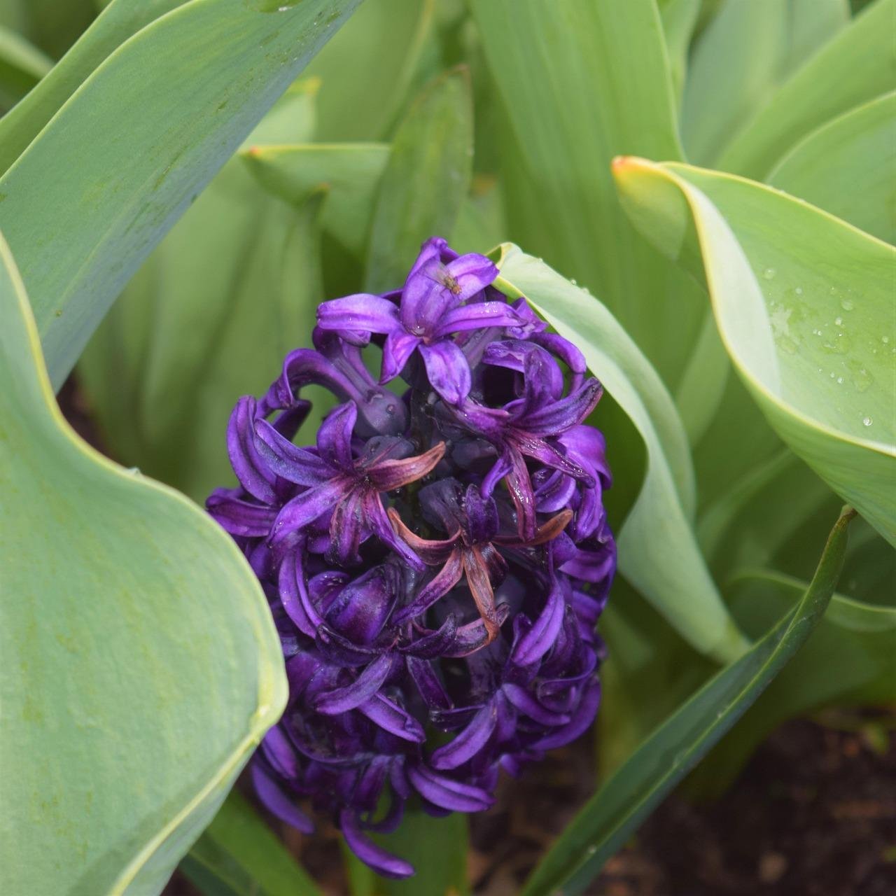 Unveiling Hidden Gems: Affordable Skincare Essentials on Amazon